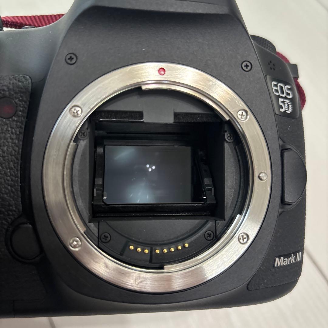 Canon EOS 5D MarkⅢ ・ZOOM LENS EF 24-105