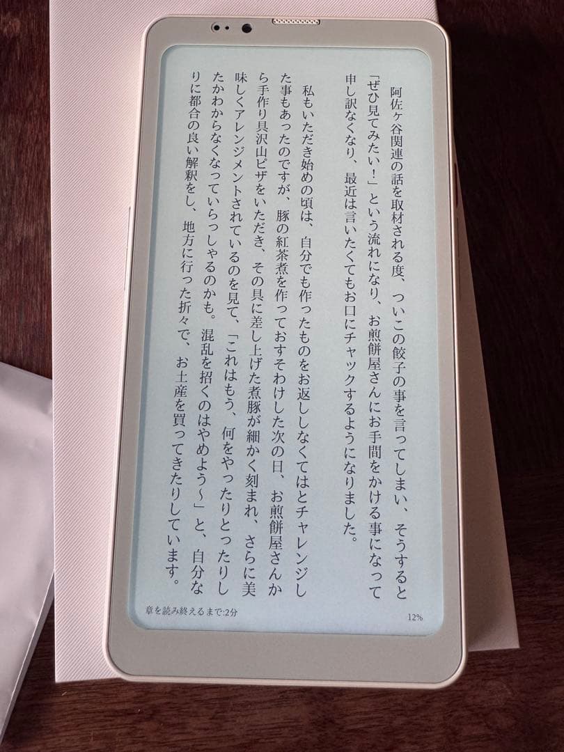 【美品】 Bigme ePaper スマートフォン Hibreak Pro