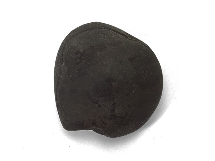 【超希少な太古の石】レアストーン★シャリグラムの原石☆一点物限定☆NO.12