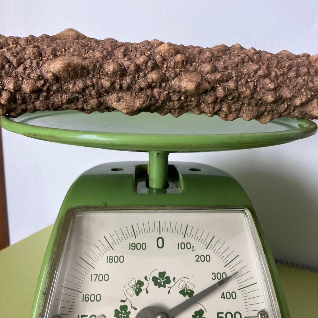 極上品超極太5.0cm 天然本山椒すりこぎ棒　プロ仕様国産山椒の木★長さ50cm