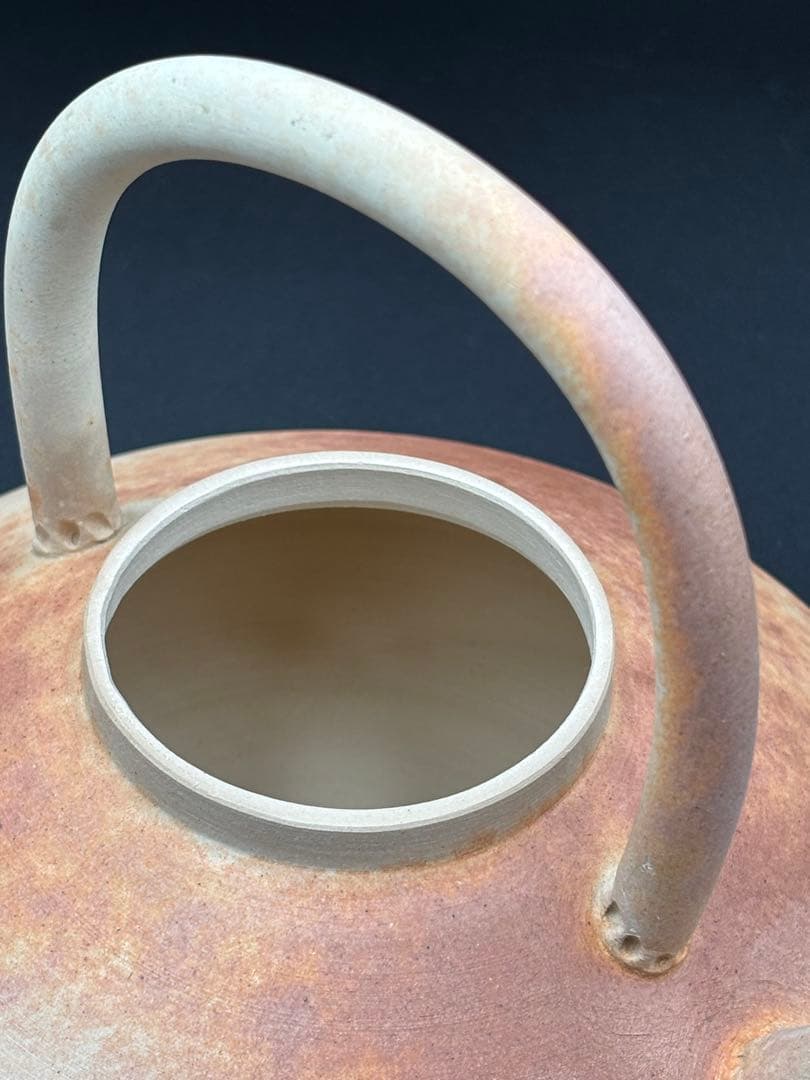 京焼　清水焼　清鳳　素焼き　煎茶道具 ボーフラ　急須