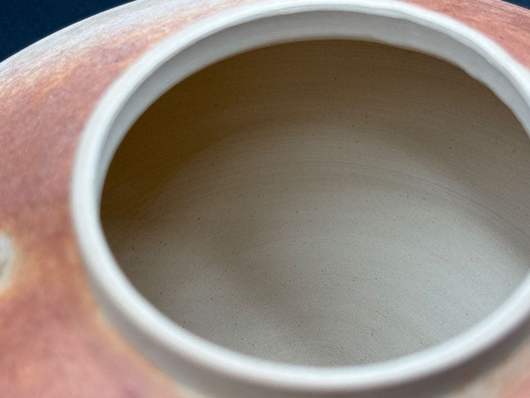 京焼　清水焼　清鳳　素焼き　煎茶道具 ボーフラ　急須