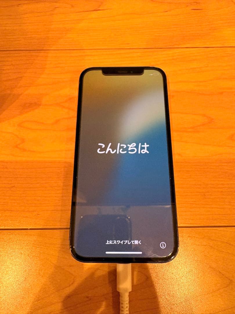 Apple iPhone 12 本体