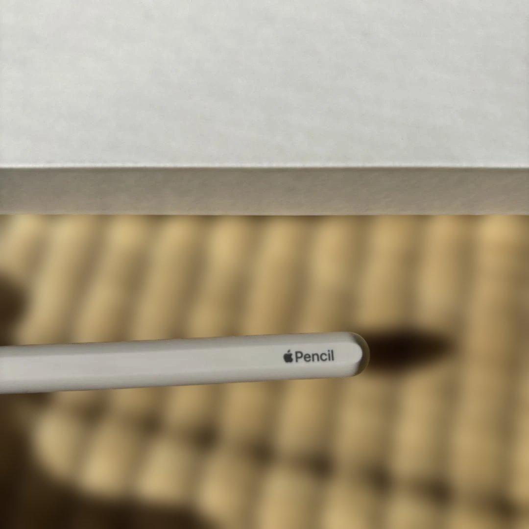 そ*ん様 Apple Pencil (第2世代) ホワイト