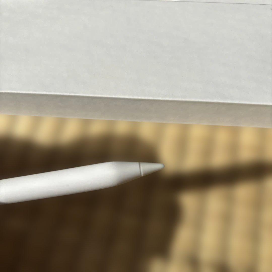 そ*ん様 Apple Pencil (第2世代) ホワイト