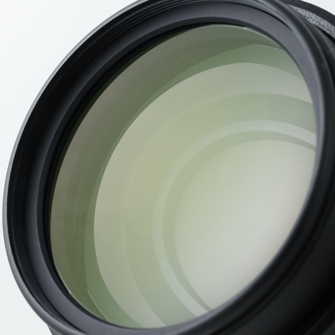 3127 ★AF-S 55-300mm★NIKONニコン★手ぶれ補正付き超望遠