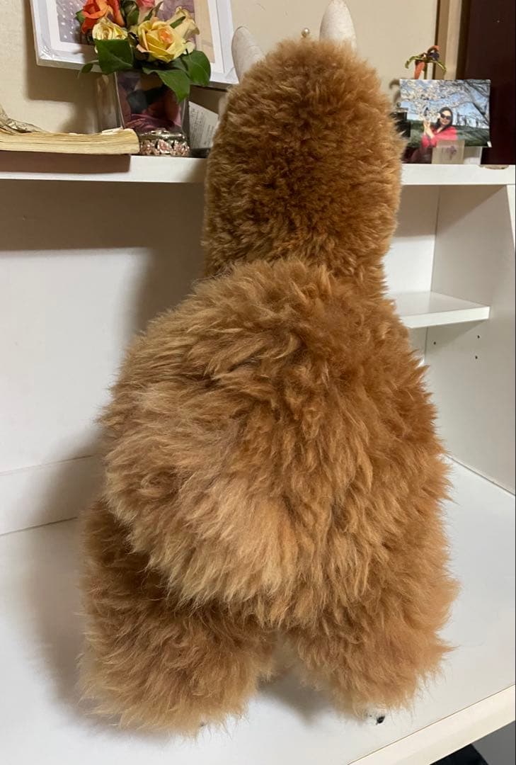 アルパカ ぬいぐるみ アルパカ原毛 ペルー製 60cm ふわふわの毛並みが