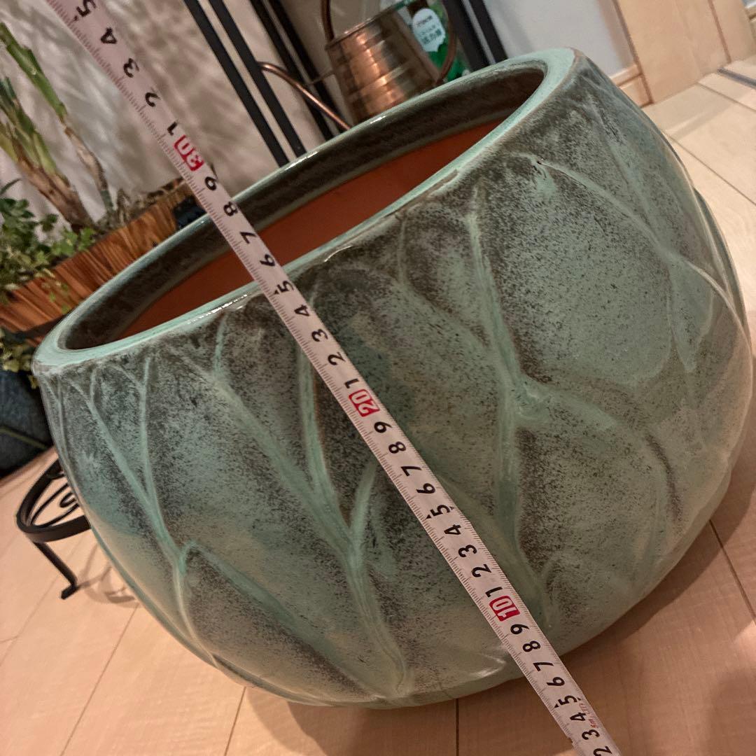 【Deroma】デローマ社オリジナル青緑色の葉模様テラコッタ11号大型植木鉢