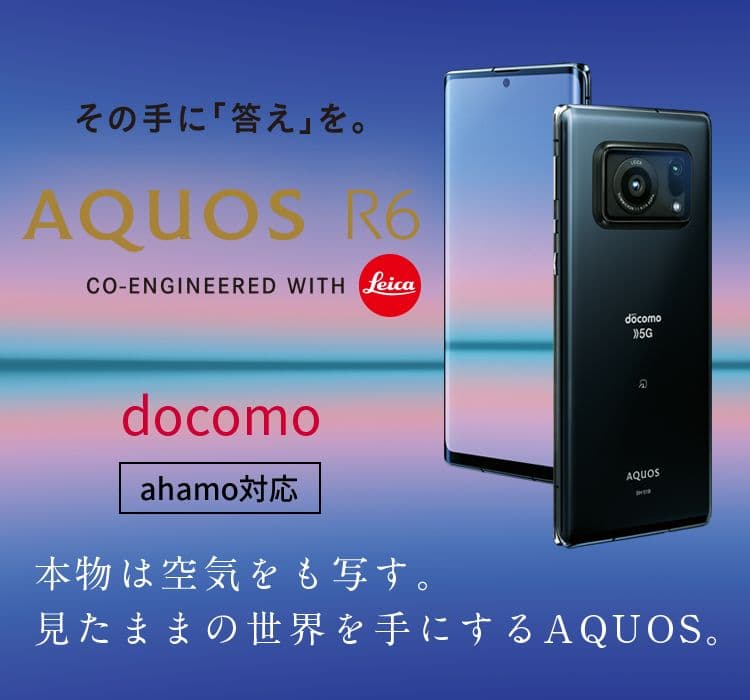 【美品扱い】docomo AQUOS R6 白 SIMフリー (※注意事項あり)