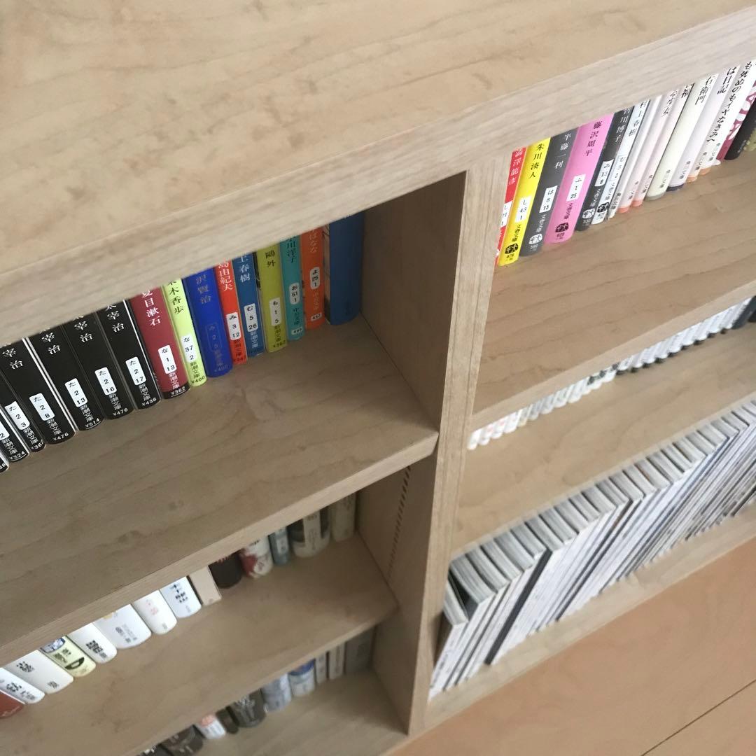 dinos ディノス 脚元安定1cmピッチ棚板頑丈薄型書棚 ブックシェルフ 本棚