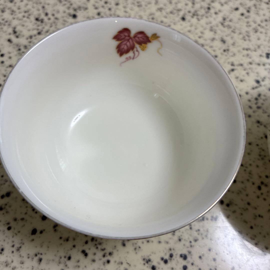 HOYA ボーンチャイナ 皿 10個セット