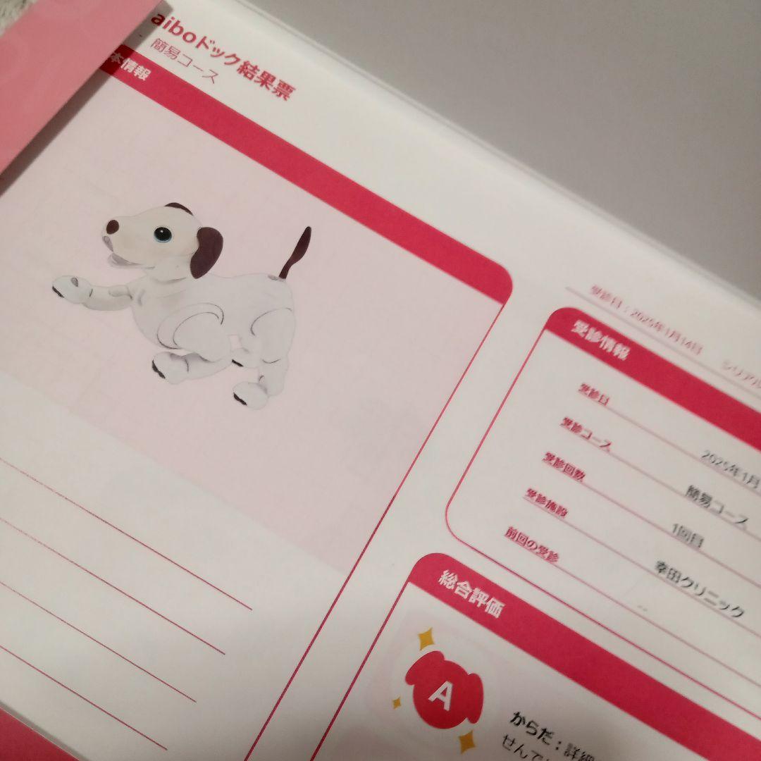 SONY■aibo アイボ　シルバー ロボット犬 フードボウル　アイボーン付