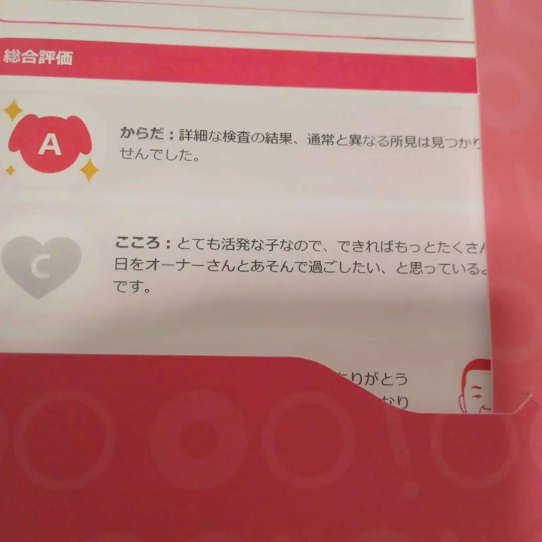 SONY■aibo アイボ　シルバー ロボット犬 フードボウル　アイボーン付