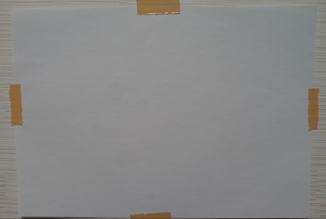 はるちゃん　SONY RX1 初代 フルサイズ Carl Zeiss