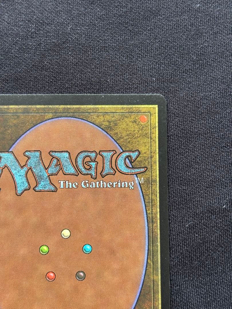 MTG ヤヴィマヤのうろ穴 Yavimaya, Cradle of Growth