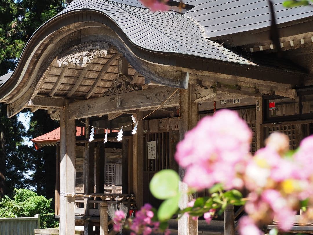 OLYMPUS E-PL10 ブラウン EZダブルズームキット