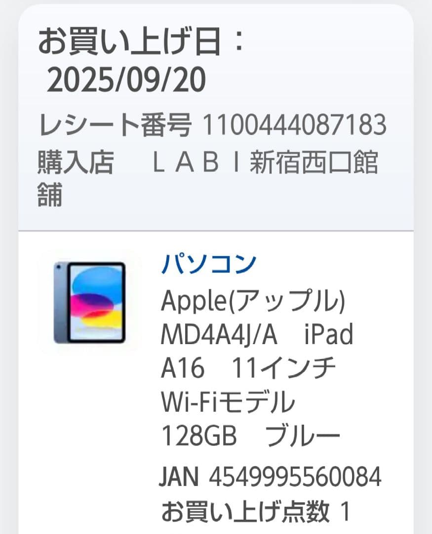 Apple iPad A16 第11世代 128GB Wi-Fi ブルー