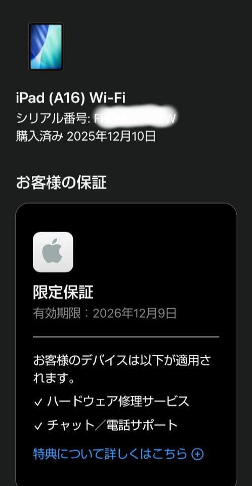 Apple iPad A16 第11世代 128GB Wi-Fi ブルー