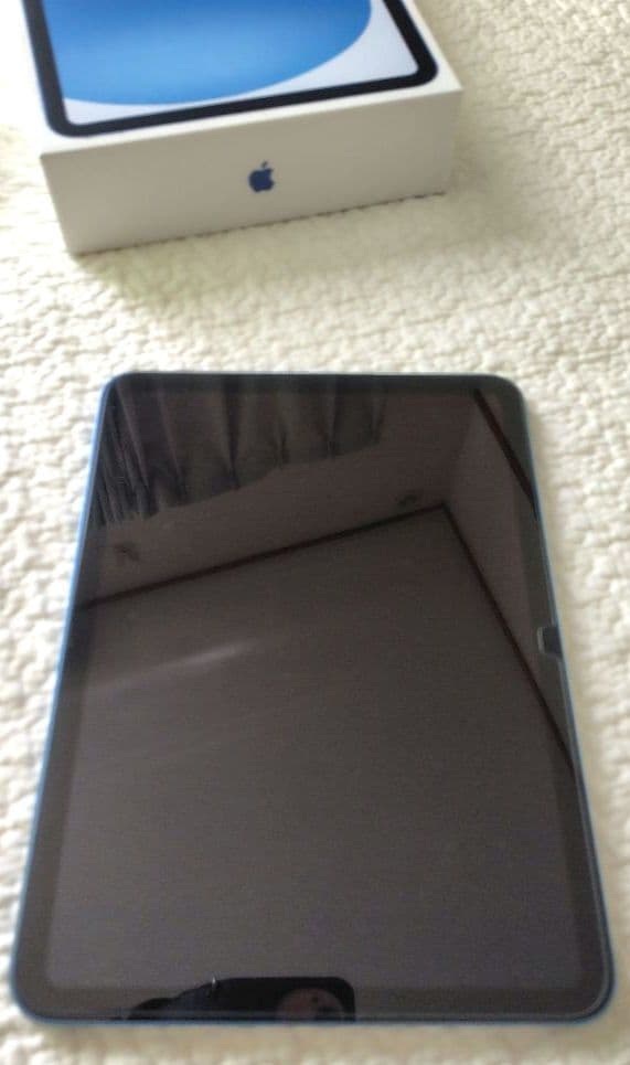 Apple iPad A16 第11世代 128GB Wi-Fi ブルー