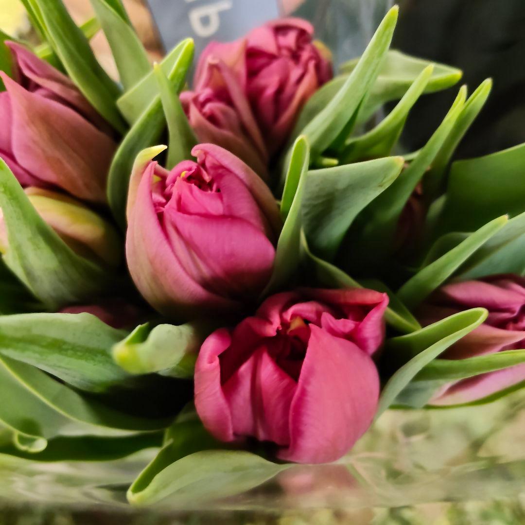 まつのり様追加ページ ❲切り花生花