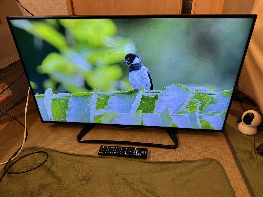 SHARP シャープ　40型　テレビ LC-40W35 16年製　NETFLIX