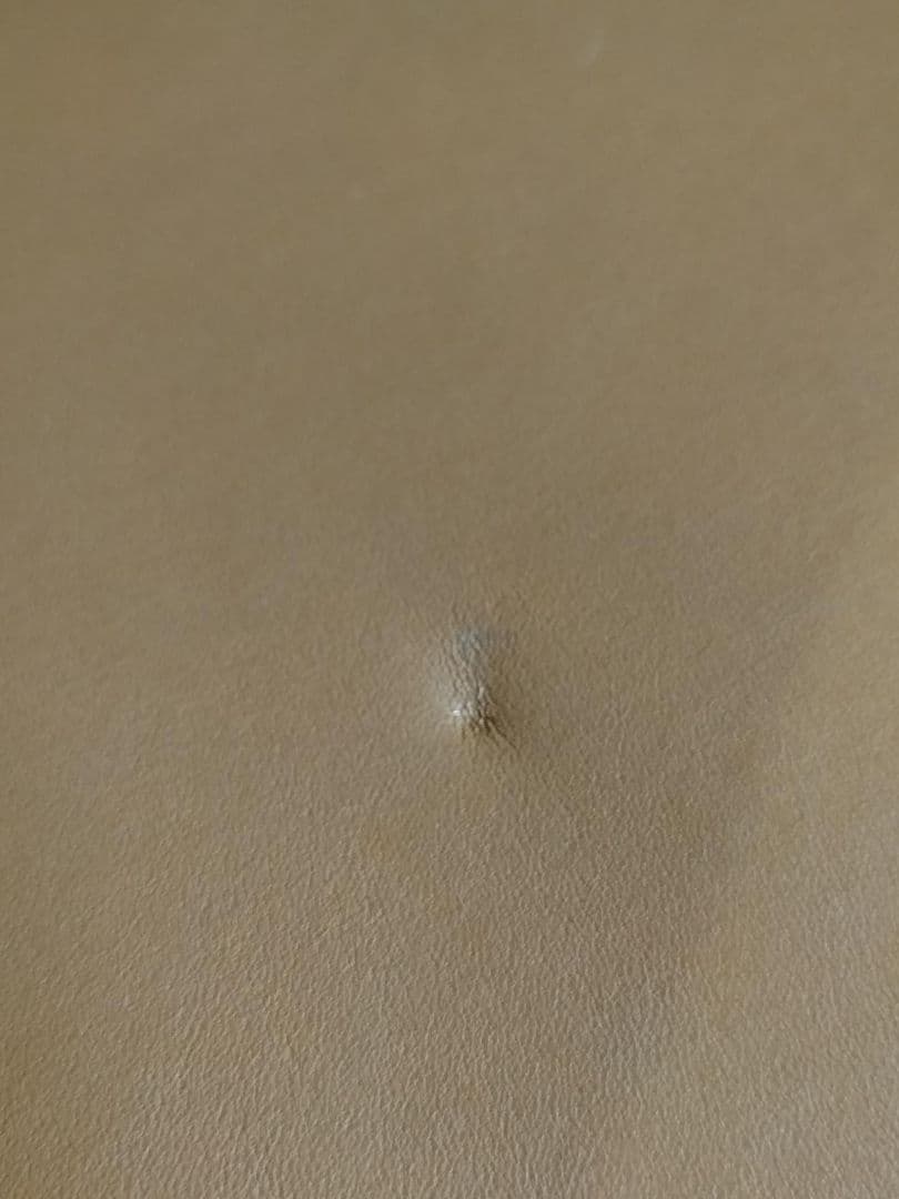 WENDELBO ヴェネルボ HUG LOUNGE CHAIR 革 GA12-F