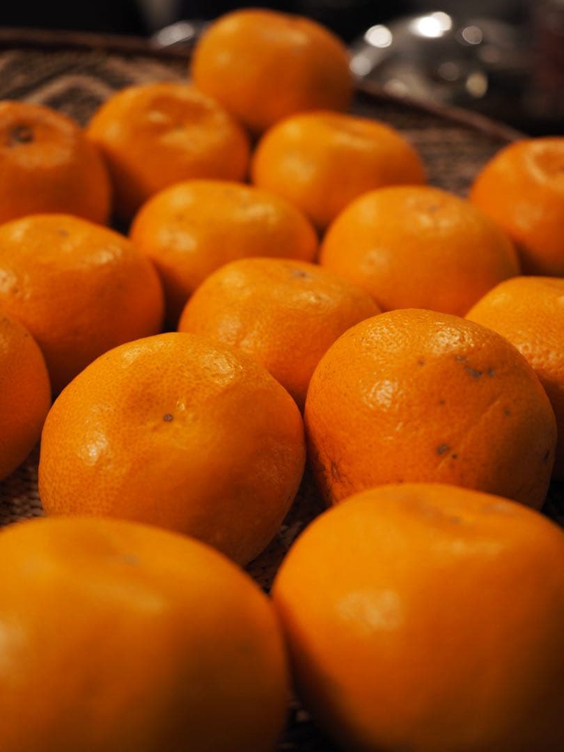 【ジャンク】OLYMPUS OM-D E-M1 mark3 本体