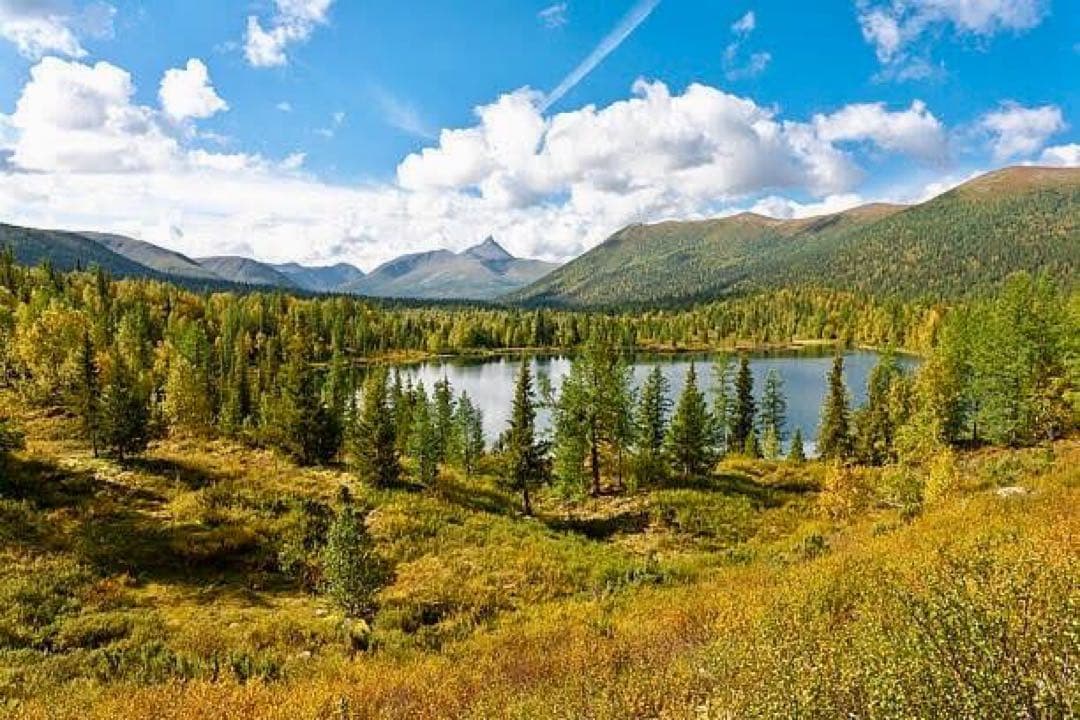 houousama　超夢幻品質　虹のオメガマスターウラルレムリアン