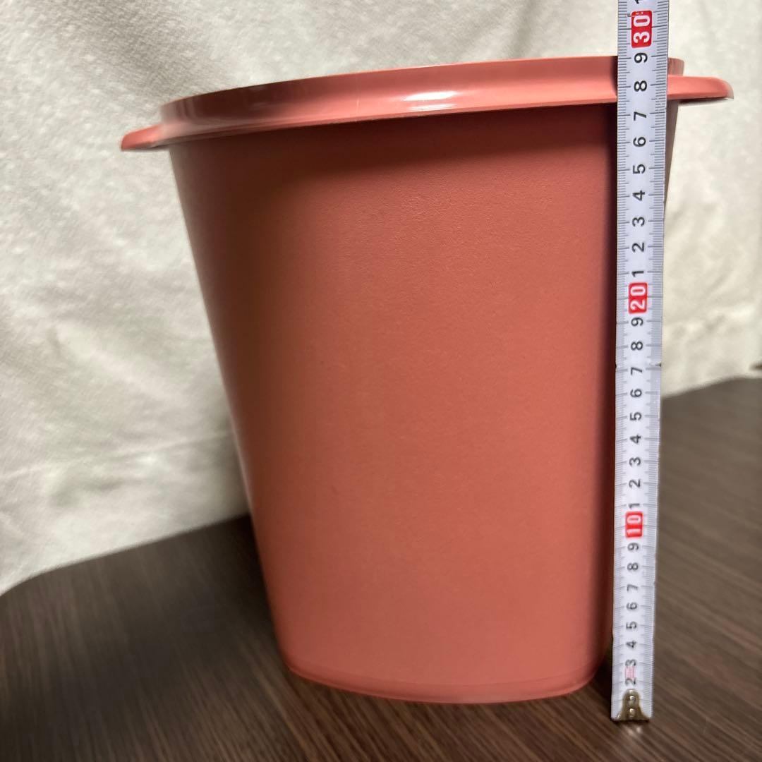 タッパーウェア　Tupperware マキシクイーンデコレーター