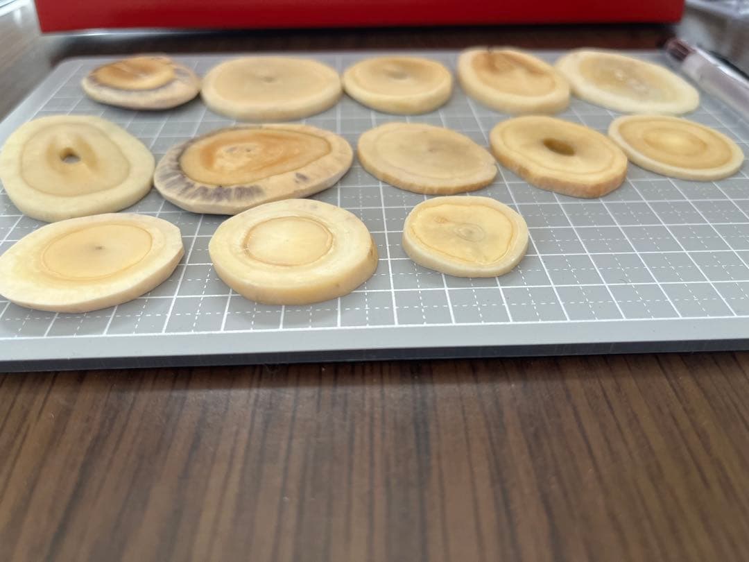 マッコウ鯨歯 平カット材 薄い