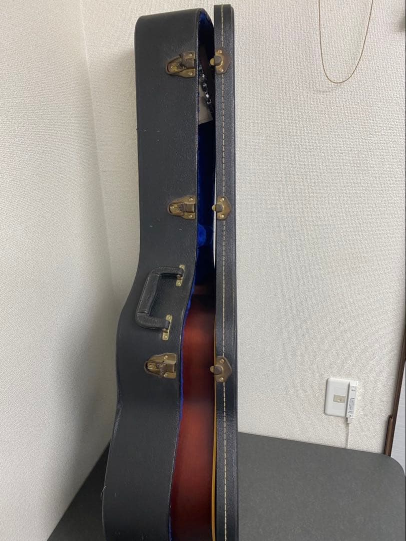 Seagull（シーガル)S6 TOBACCO BURST アコギ