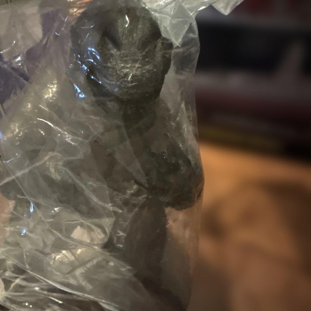 Y・MSFソフビシリーズ フィギュア 40個限定