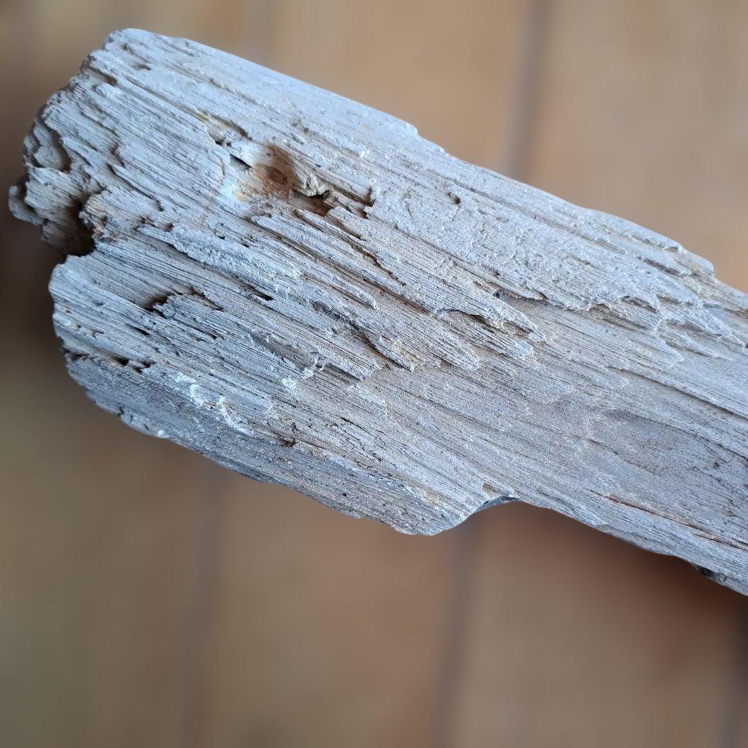 珪化木 40㎝ 2.５kg 日本