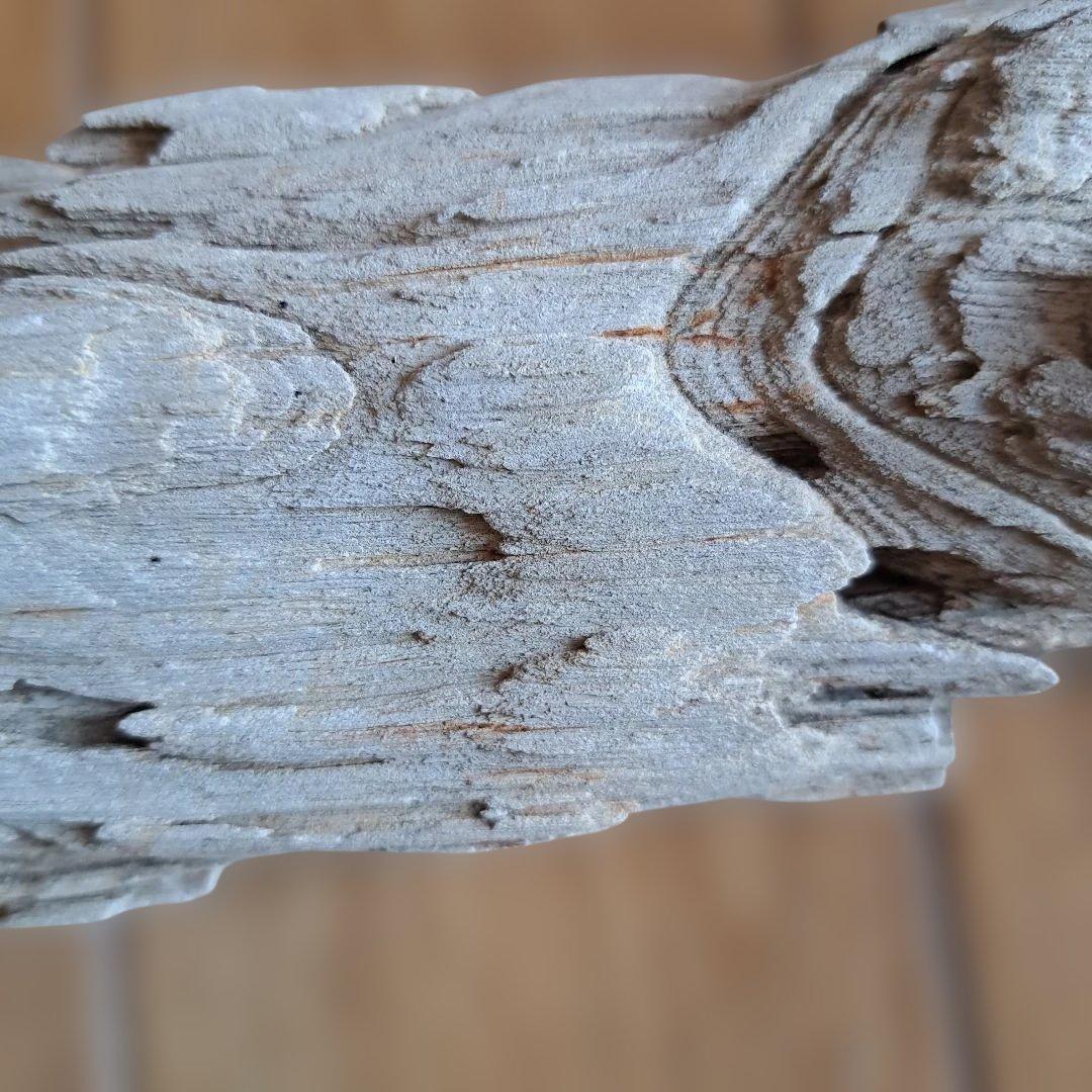 珪化木 40㎝ 2.５kg 日本