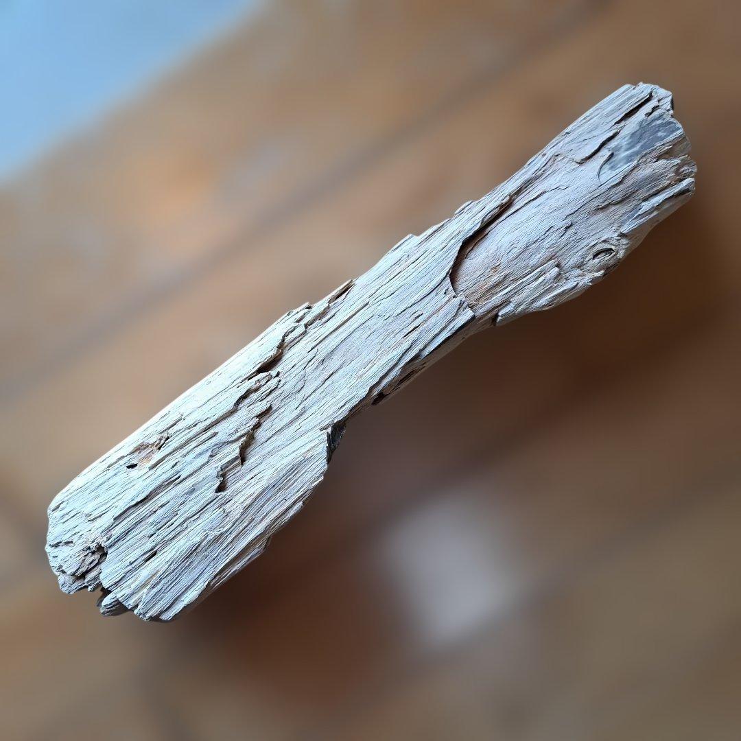 珪化木 40㎝ 2.５kg 日本
