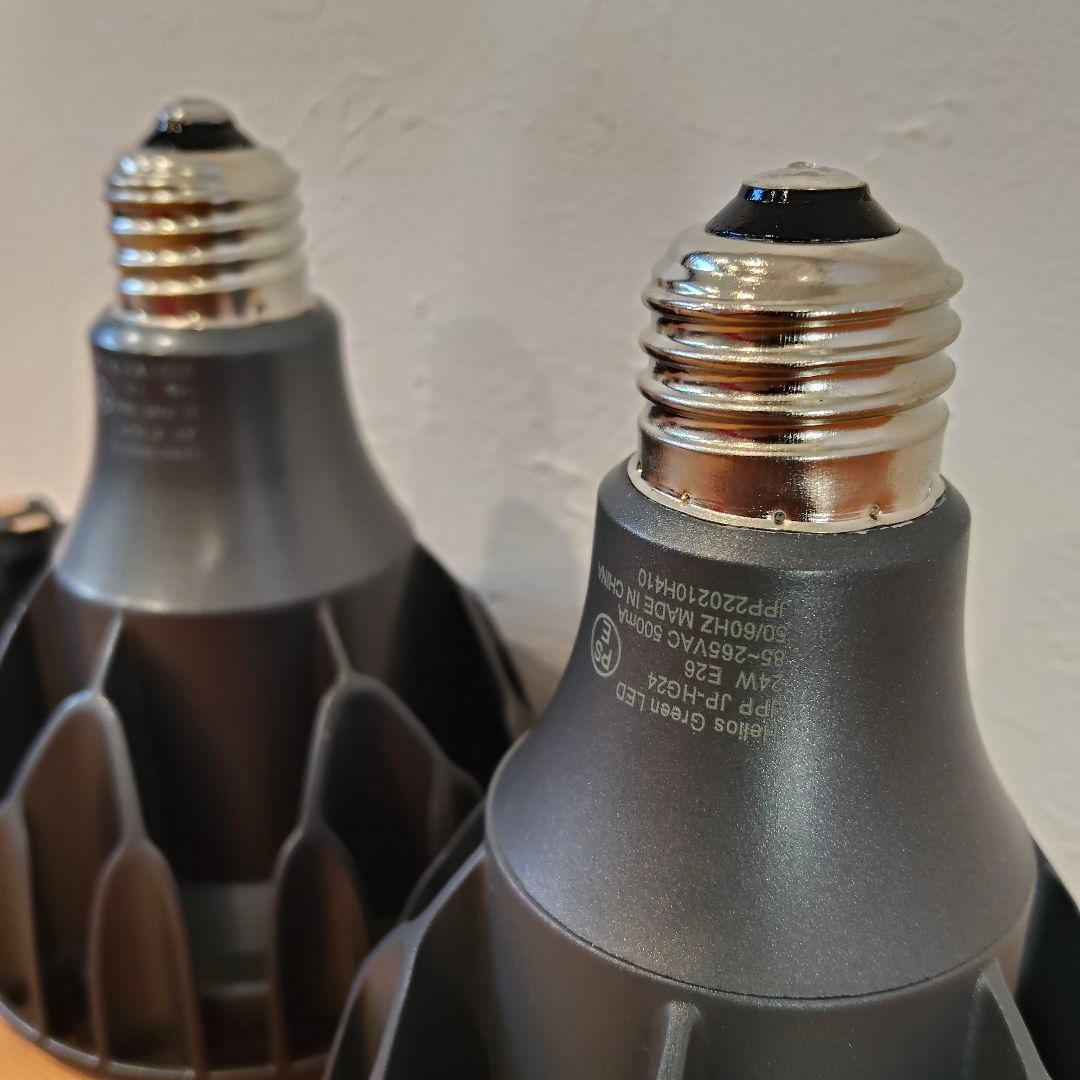 HeliosGreen LED 2個セット (パキポディウム ユーフォルビア