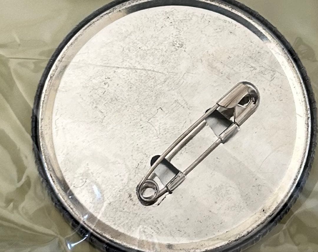レアセット　ブルーハーツ　甲本ヒロト　缶バッジ