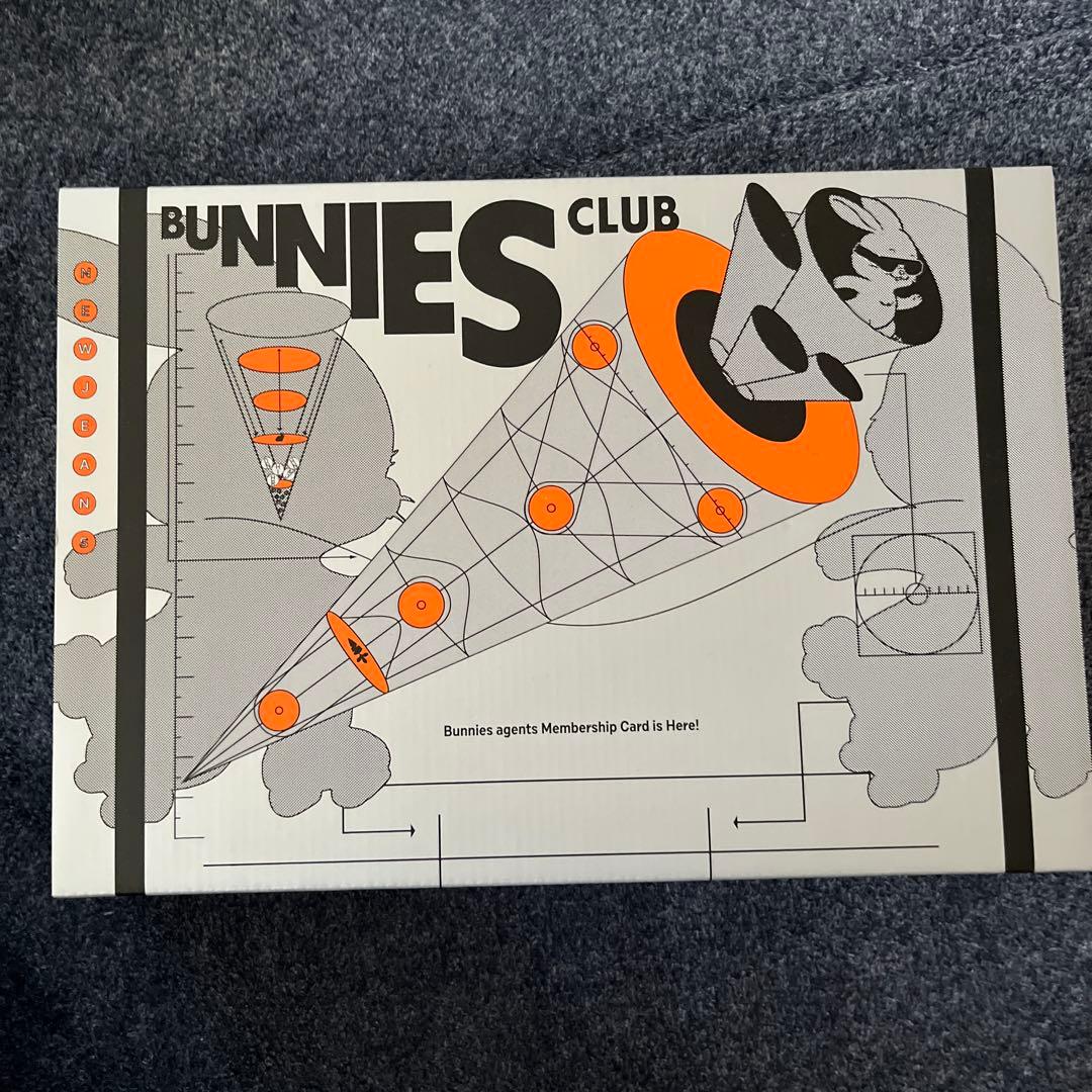 newjeans メンバーシップ限定　バニズキットとnewjeans ペンライト