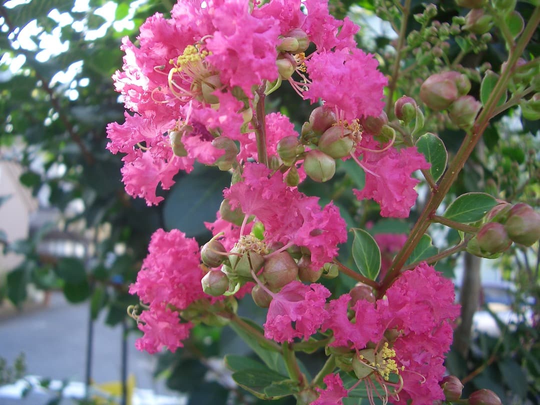 実写良⭕️良品【動作確認済】 CASIO EXILIM ZOOM EX-Z3