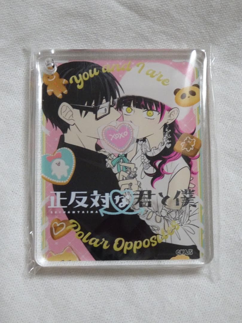 正反対な君と僕 アニメイトカフェ CoLotta 全10種 コンプリート