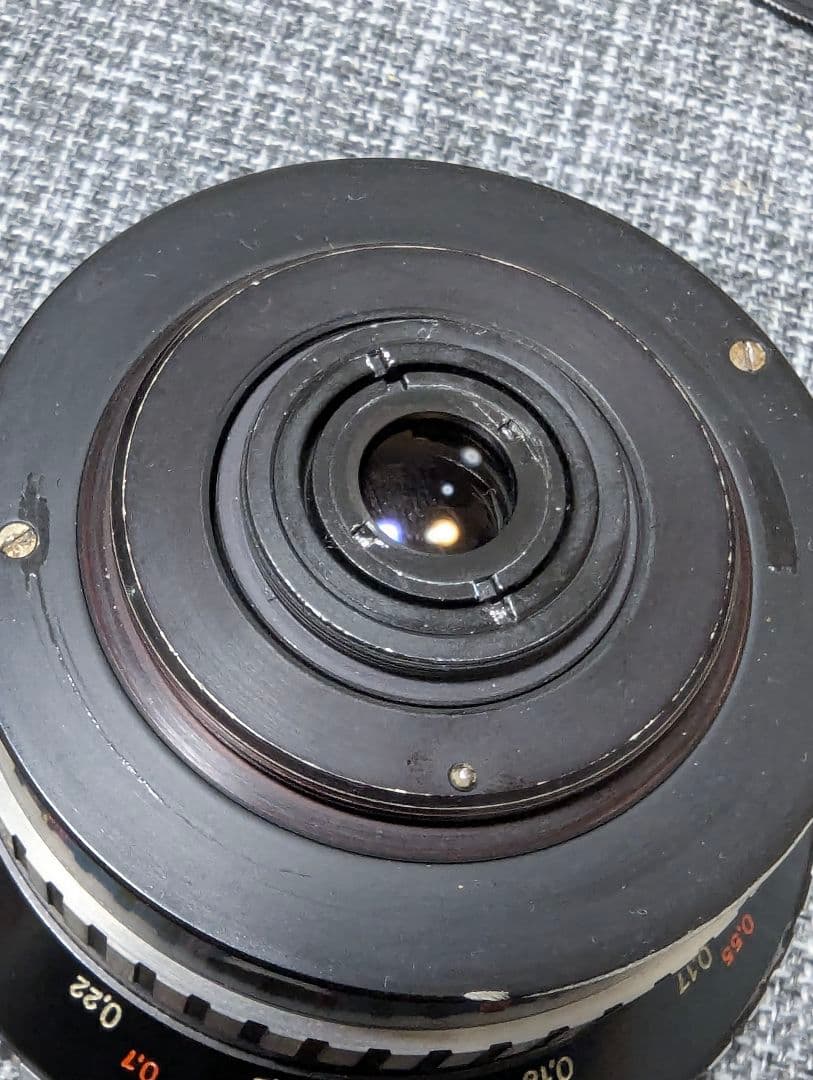 Carl Zeiss Jena Flektogon 20mm f4 ゼブラ