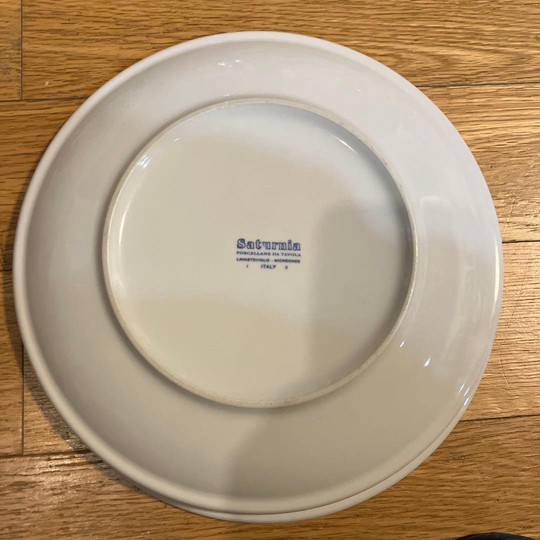 サタルニア　アンティーク　24cm 10枚セット