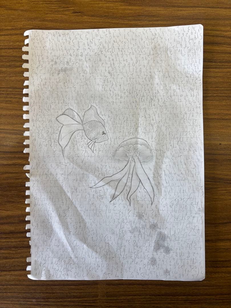 生き物に浮かぶ数字　絵画