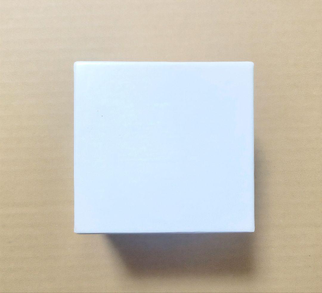 【個数限定品】Shuta Sueyoshi（末吉秀太）ネックレス　ゴールド