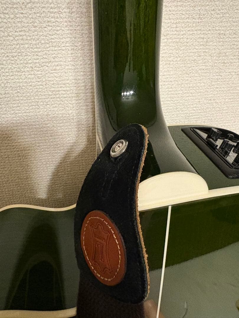 タカミネ　Takamine ギター　エレアコ　グリーン　緑