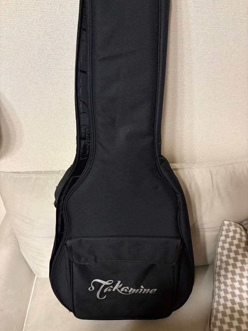 タカミネ　Takamine ギター　エレアコ　グリーン　緑