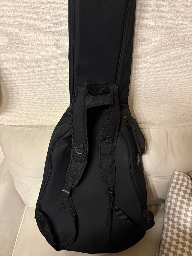 タカミネ　Takamine ギター　エレアコ　グリーン　緑