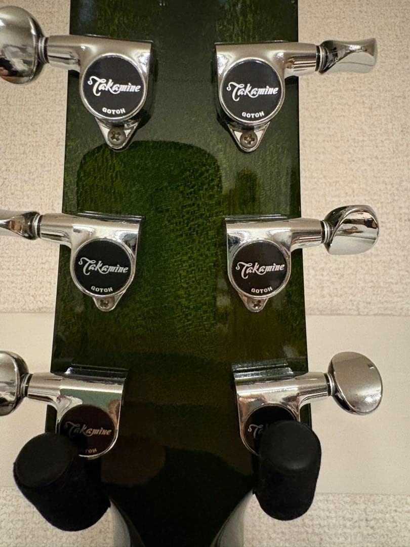 タカミネ　Takamine ギター　エレアコ　グリーン　緑
