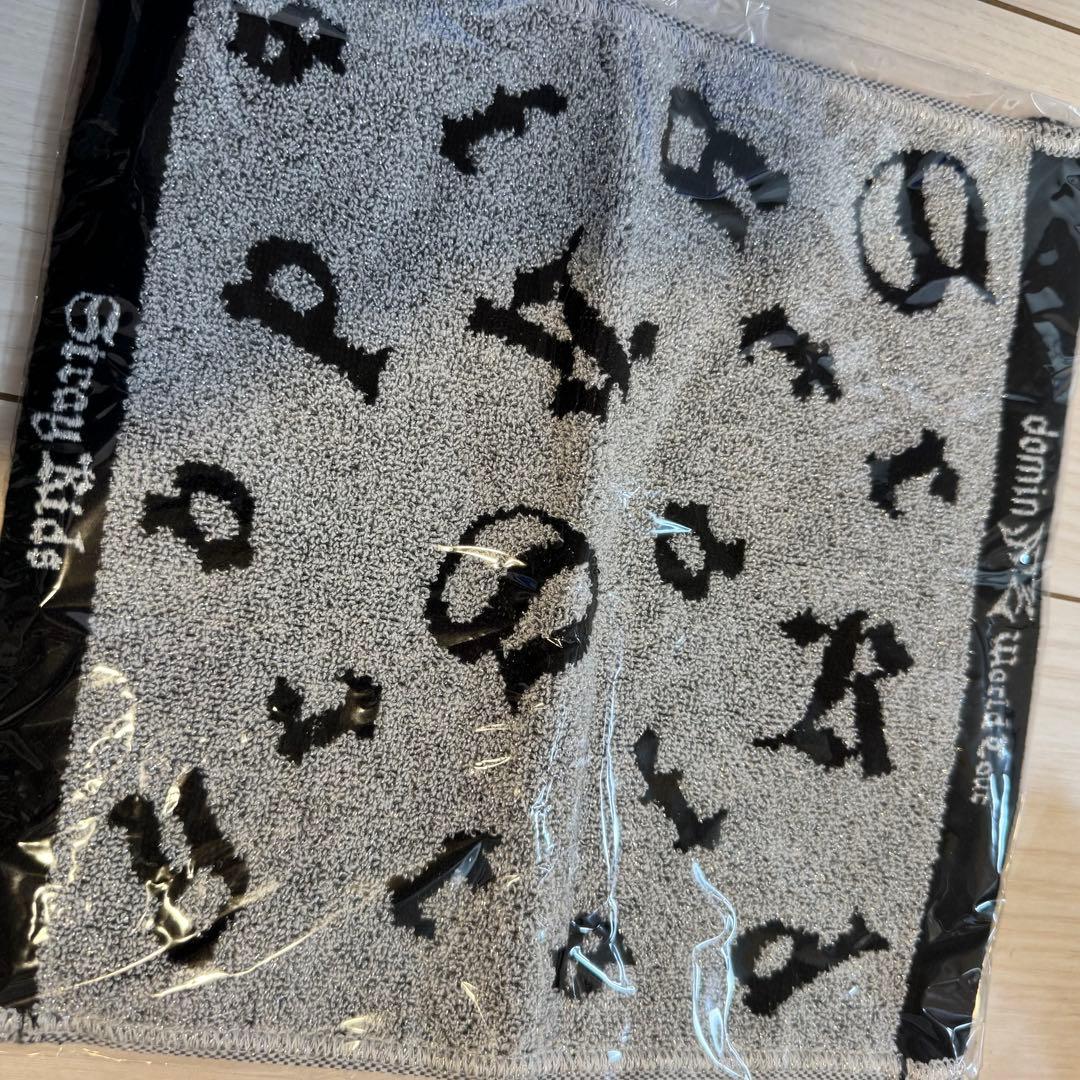 STRAY KIDS DOMINATE アプグレ特典　グッズ　新品未使用　スキズ