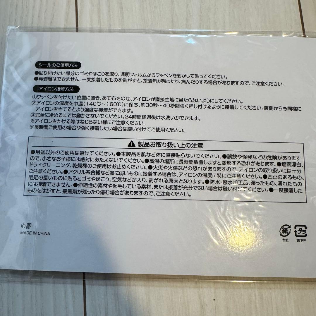 STRAY KIDS DOMINATE アプグレ特典　グッズ　新品未使用　スキズ